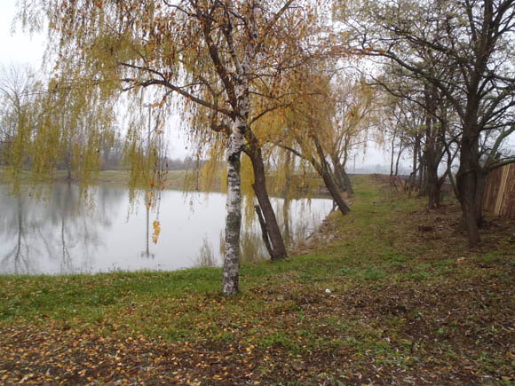 Vyčištění okolí rybníčku v Kašenci a obnovení přepadu rybníčku